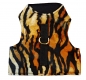 Kitty Jacket classic Tiger